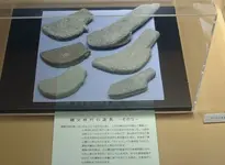 2007AUG25StoneAxe.webp