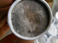 DSCN6247.webp