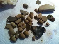 photo 1.webp