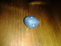 2013-04-07 19.42.24.webp