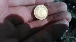 IMAG0284.webp