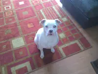 IMG_20130318_135539.webp