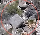 Dimond for Casca.webp