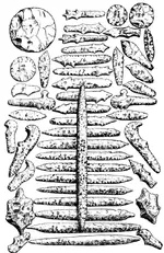 duckriverdrawingslarge.webp