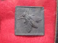 BUG 002.webp