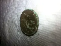 20130402_151224.webp