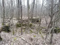 20130413_145048.webp