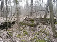 20130413_145102.webp