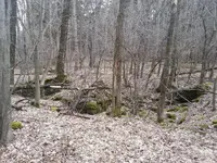 20130413_145125.webp