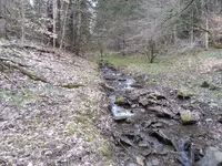 20130413_155929.webp