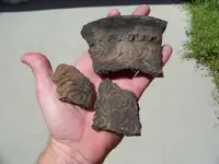 Pottery.webp