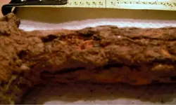 image-4037267898.webp
