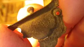 IMGP0415.webp