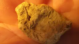 IMGP0414.webp