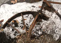 DSCN3490.webp