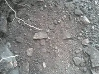 ForumRunner_20130407_110907.webp