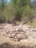 Matt in wash with md.webp