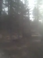 image-602318044.webp