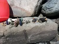 20130407_131508.webp