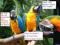 birthday parrots.webp