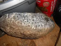 DSCN0018.webp