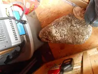 DSCN0020.webp
