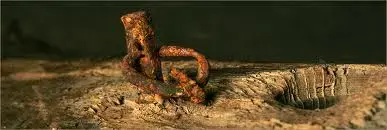 log spike.webp