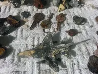 20130423_171713.webp