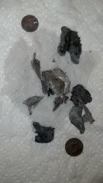2013-03-20_02-44-22_152.webp