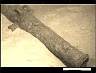 cannon.webp