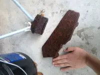 image-1874939612.webp