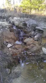 ForumRunner_20130424_094605.webp