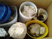 2013-03-23 12.00.22.webp
