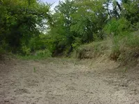 DSC00748.webp DSC00748.webp
