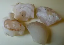 P1000690.webp