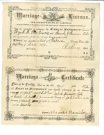 colored_marriage_license.webp