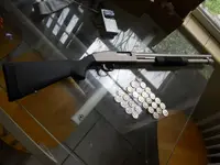 DSCN6285.webp