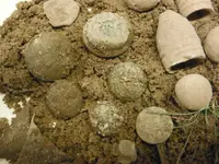 DSCF0047.webp