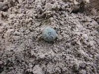 DSCF0034.webp