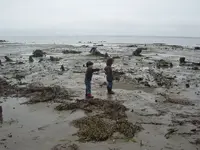 IMGP9496.webp