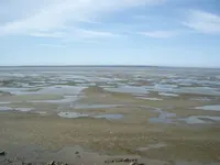 IMGP8850.webp