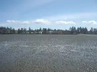 IMGP8837.webp