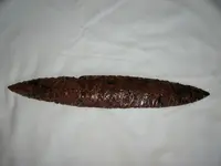 DSCN0356.webp
