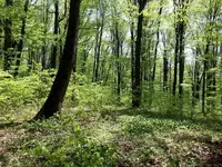 20130427_133757.webp 20130427_133757.webp