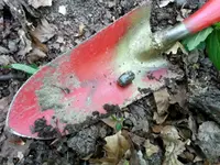 20130427_140114.webp