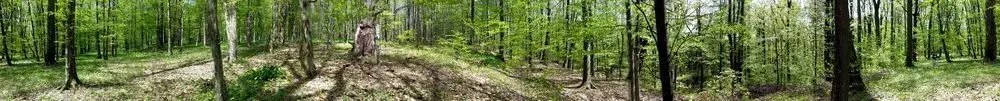 20130427_142233.webp