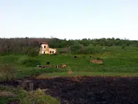 20130427_193459.webp 20130427_193459.webp
