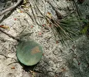 20130428_134255.webp 20130428_134255.webp