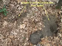 2 copper found location.webp