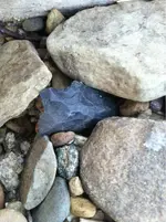 image-2327700971.webp